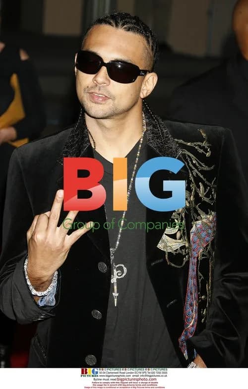 Sean Paul at 34th American Music Awards
