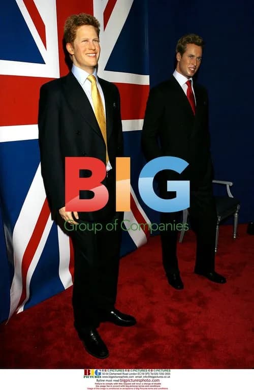 Prince William and Prince Harry Wax Figures