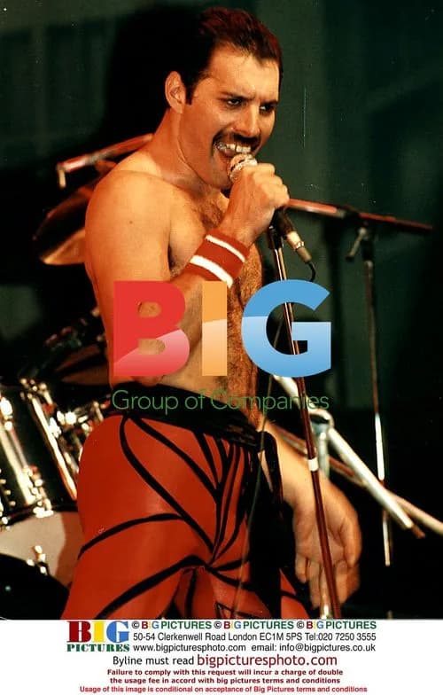 Freddie Mercury Performing with Queen