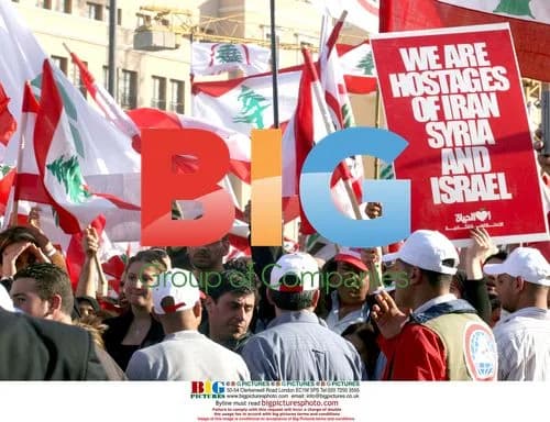 Mourners at Pierre Gemayel's Funeral