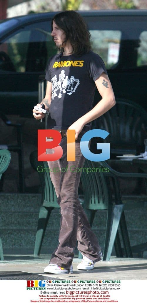 Mischa Barton's ex Cisco Alder lunches in Malibu