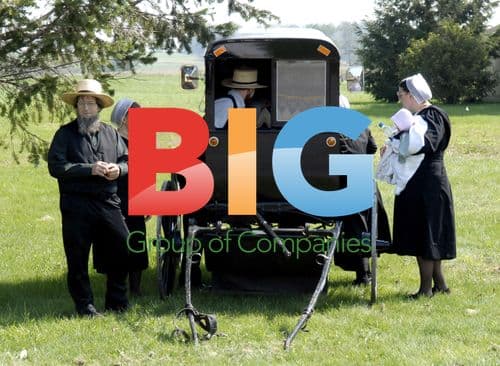 Amish girl in buggy near media