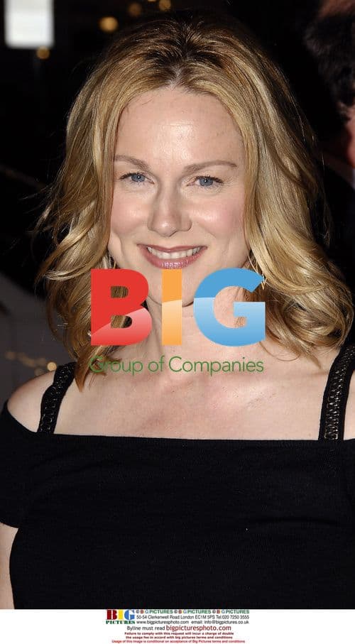 Actress LAURA LINNEY at 'Man of the Year' premiere