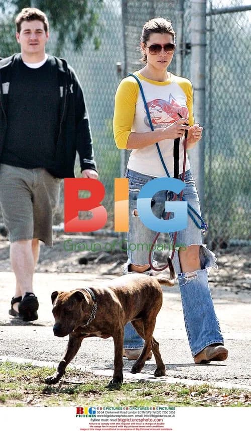 Jessica Biel Walking Dogs in Park