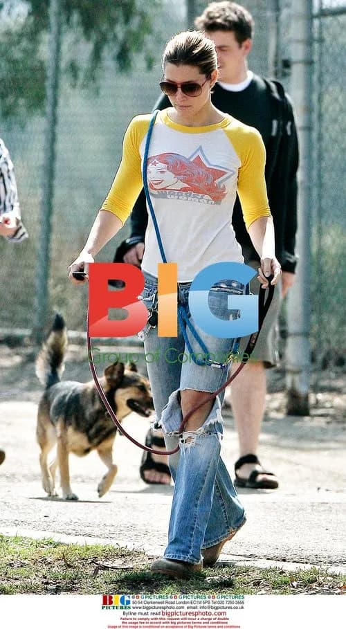 Jessica Biel walks dogs in Brentwood
