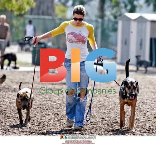 Jessica Biel Walking Dogs in Park