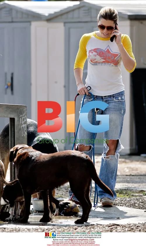 Jessica Biel Walks Dogs in Park