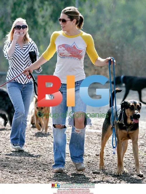Jessica Biel Walks Dogs in Park