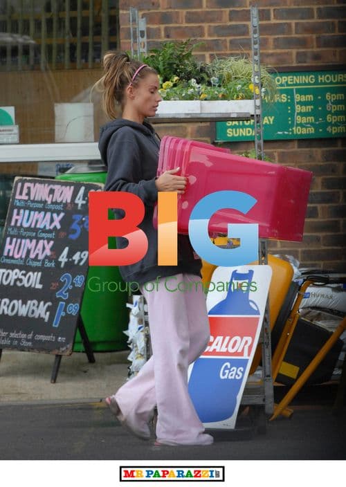 Katie Price Carries Pink Box to Shops