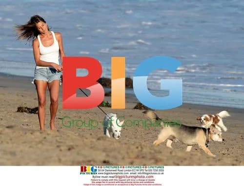 Jennifer Aniston takes beach walk with dogs