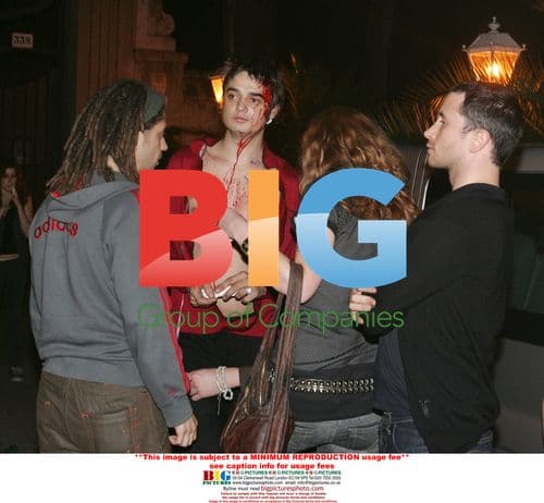 Pete Doherty Involved in Fight After Concert