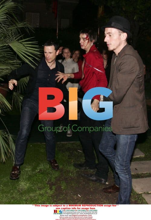 Singer Pete Doherty in fight after concert