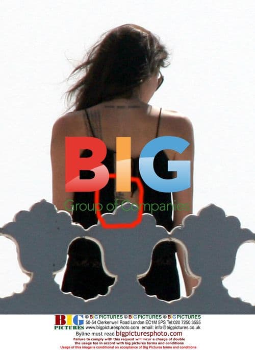 Angelina Jolie at Taj Lake Palace Hotel