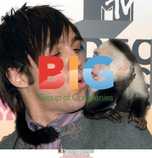 Fall Out Boy and pet monkey at MTV VMAs