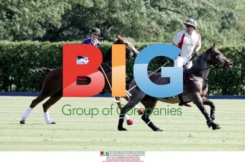 Prince Harry Plays Polo