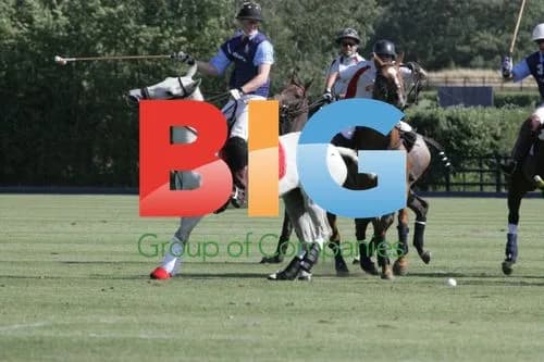 Prince Harry playing polo in Windsor