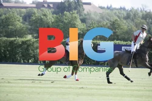 Prince Harry plays polo in Windsor