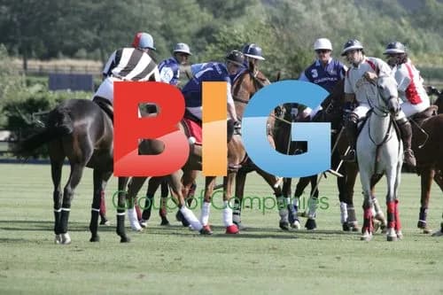 Prince Harry playing polo