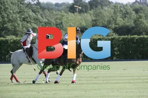 Prince Harry playing polo in Windsor