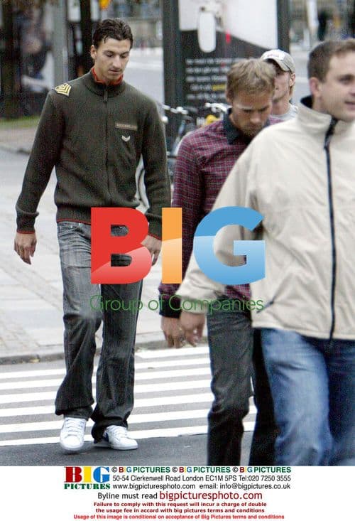 Swedish National Football Team Players Suspended