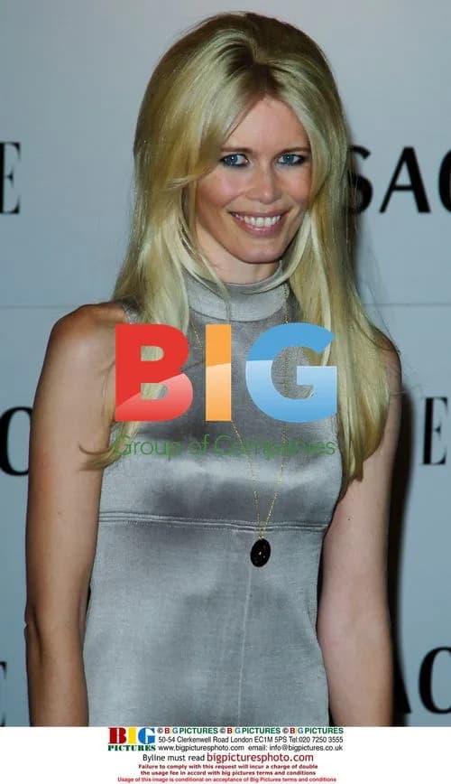 Claudia Schiffer at Elle 21st Anniversary Party
