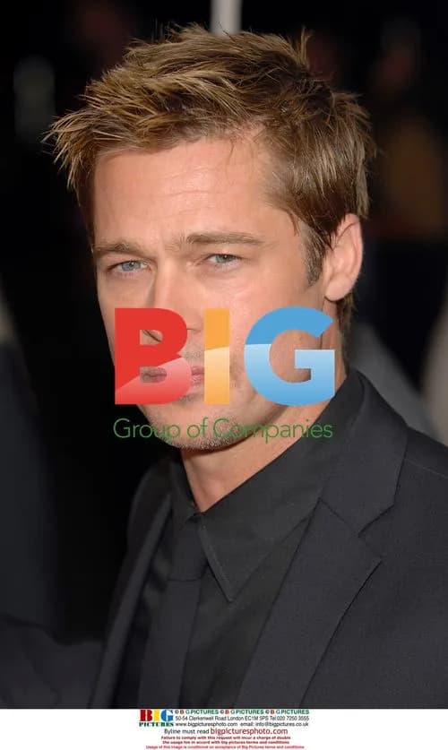 Brad Pitt at Toronto Film Festival