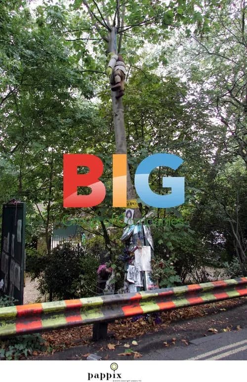 Roadside tribute to Marc Bolan