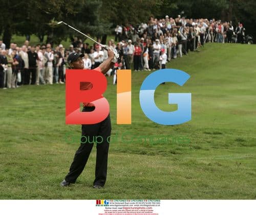 Tiger Woods at HSBC World Matchplay