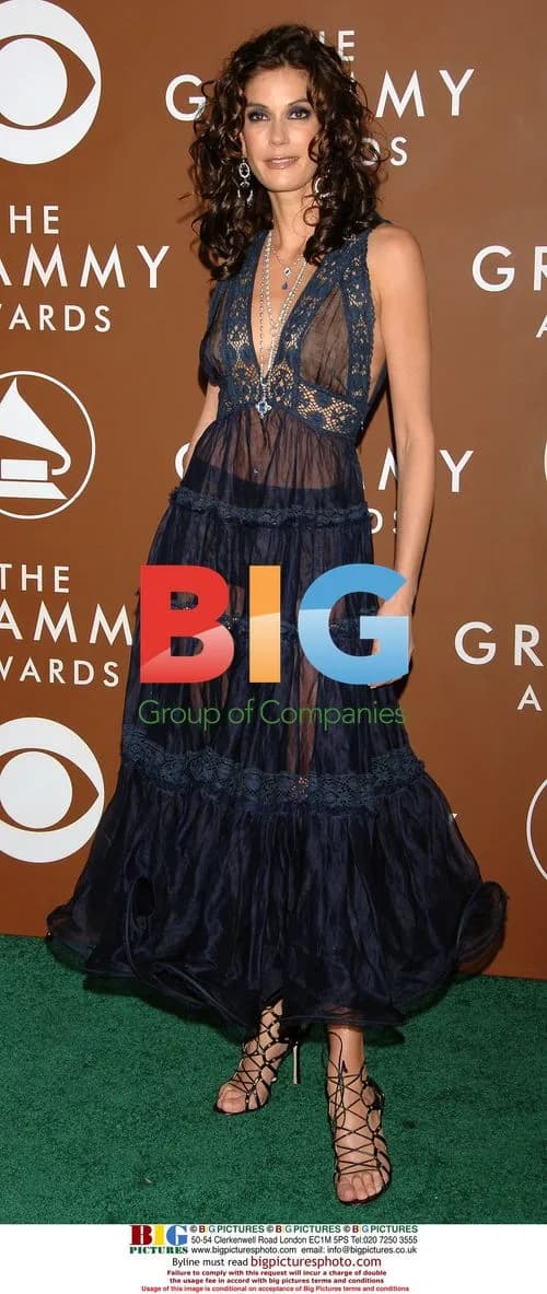 Teri Hatcher's Revealing Dress at 48th Grammy Awards