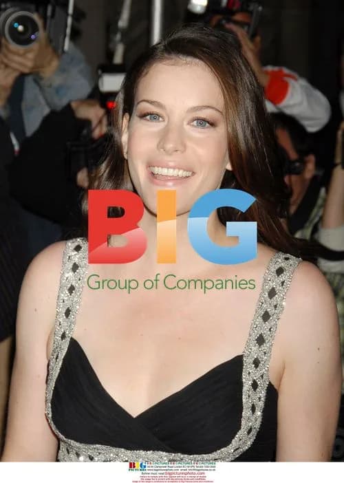 LIV TYLER at New Yorkers For Children Dinner 2006