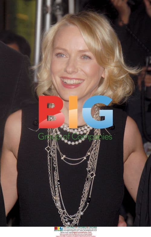 NAOMI WATTS at New Yorkers For Children Dinner 2006