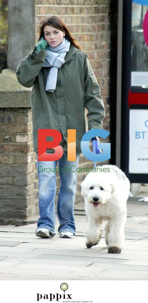 Holly Davidson out with dog in London