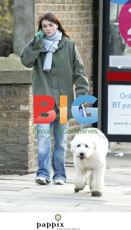 Actress Holly Davidson walks dog in London