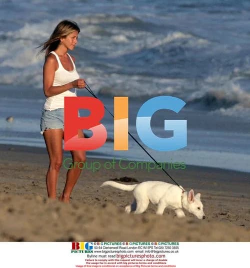 Jennifer Aniston's Lonely Beach Walk with Puppies