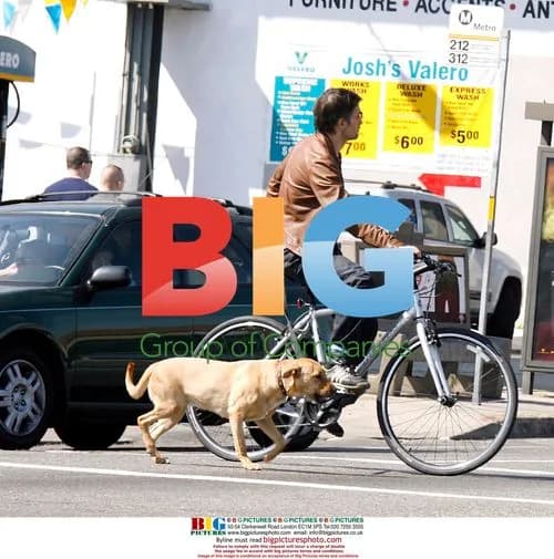Olivier Martinez riding bike with dog in LA