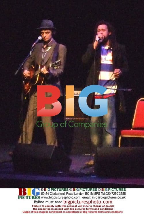 Pete Doherty at Hackney Empire Gig