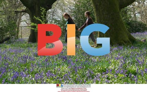 Sisters Enjoy Bluebell Walk in Hampshire