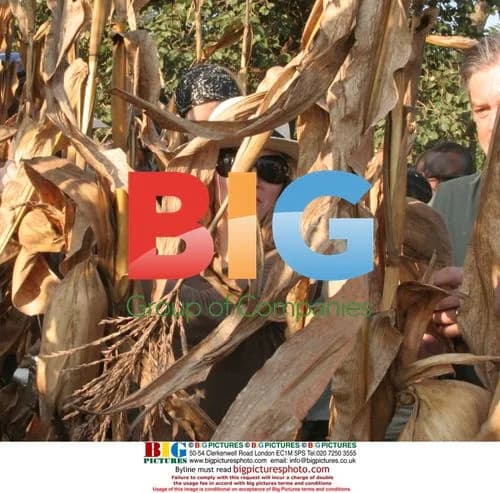 Madonna tours Malawi corn fields