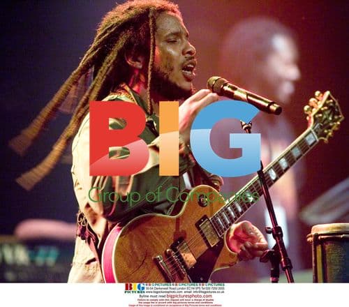 Stephen Marley Performs in Vancouver