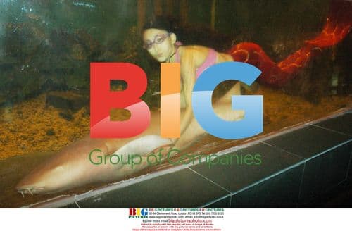 Girl dressed as mermaid dances with sharks