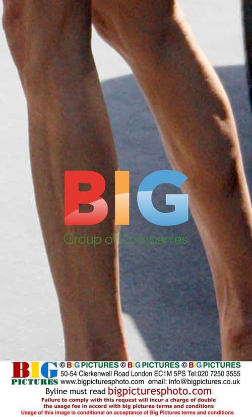 Janice Dickinson leaves lunch at Cafe Med