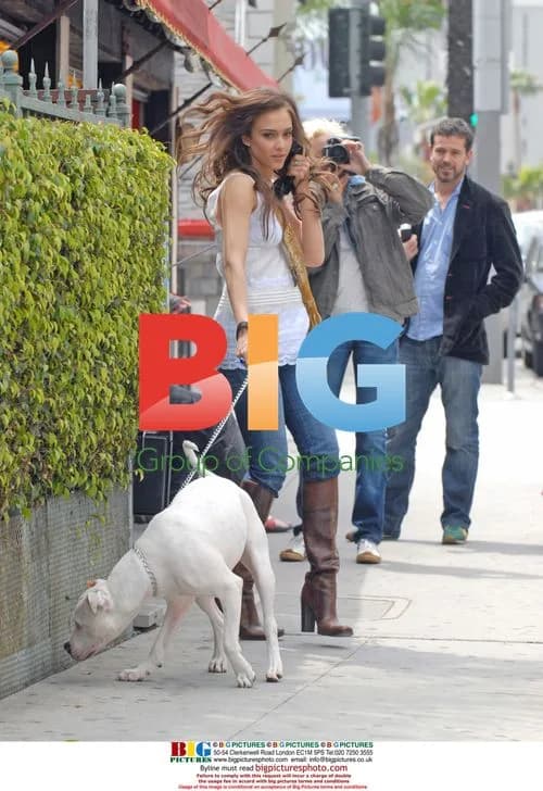Jessica Alba Photo Shoot with Dog