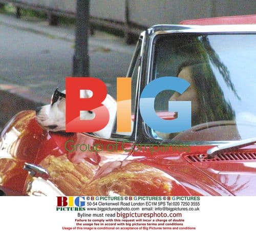 Jessica Alba Photo Shoot with Dog