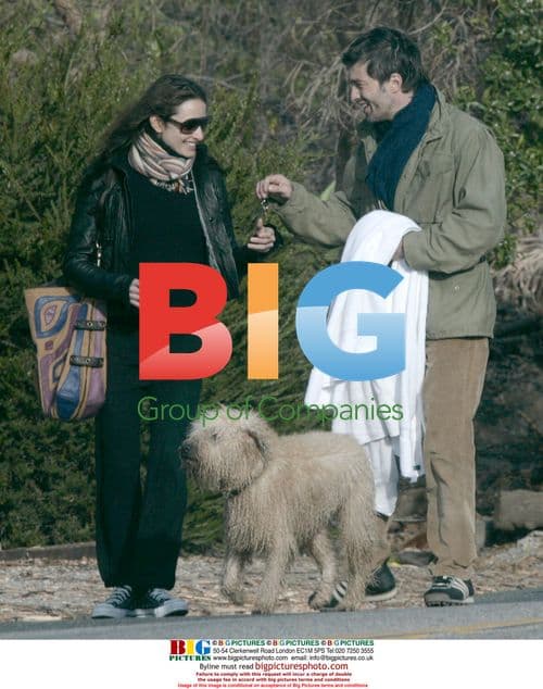 Olivier Martinez with new girlfriend Goya Toledo