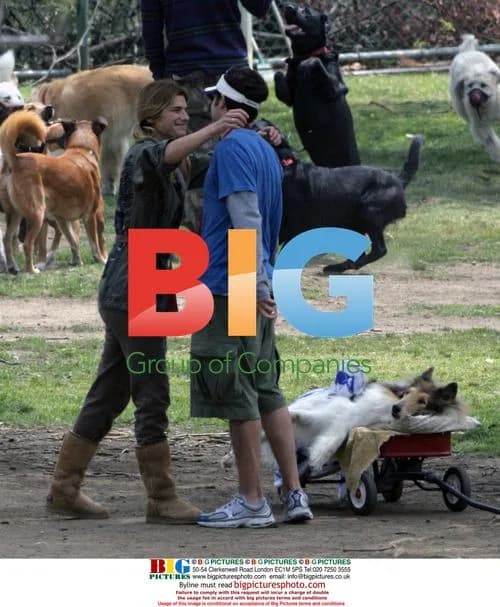 Jason Biggs and Lake Bell at dog park