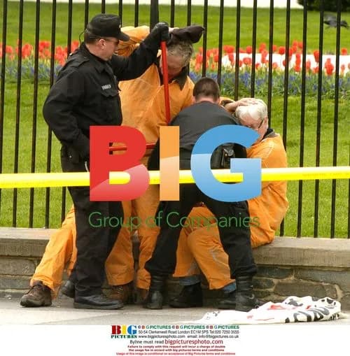 Protesters chained to White House gates