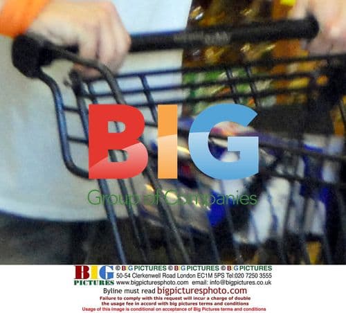 Ryan Phillipe Grocery Shopping