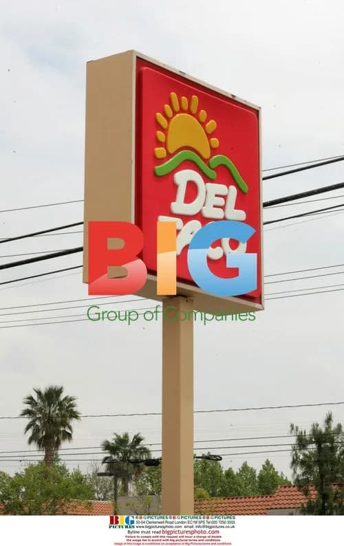 Britney Spears Gets Del Taco Meal