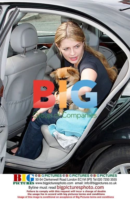 Mischa Barton Arrives at London Airport with Dog