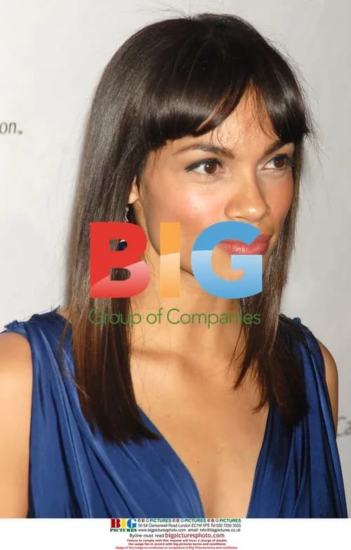 Rosario Dawson at Breast Cancer Research Foundation Event
